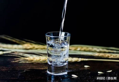 酒水批發(fā)一般在哪里拿貨,酒水批發(fā)拿貨