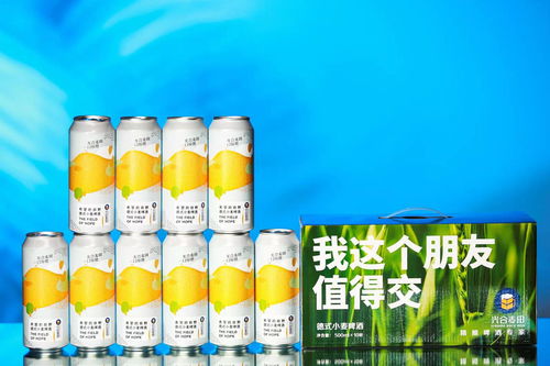 湖南小桶原漿啤酒零售