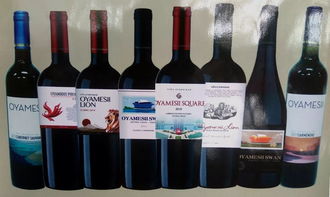 東營(yíng)澳雅萊 大美東營(yíng) 系列葡萄酒隆重上市 成宣傳東營(yíng)的靚麗名片